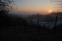 S. Damiano d'Asti - Alba_010